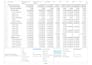 create a professional ms project schedule